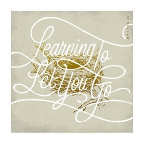 Song  JJ Heller - Learning to Let You Go