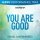 Download Israel & New Breed - You Are Good