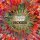 Download Jeremy Camp - Come Alive