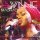 Download Dr Winnie Mashaba - Mahlomoleng