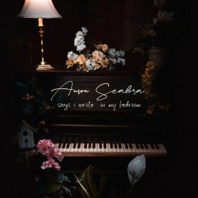Song  Anson Seabra - Trying My Best