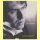 Download Josh Groban - The Prayer