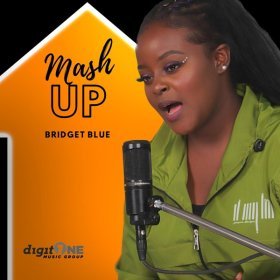 Song  Bridget Blue - Hills and Valleys