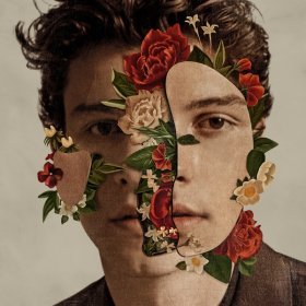 Song  Shawn Mendes, Camila Cabello - Señorita