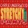 Download Carrie Underwood - Stretchy Pants