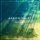 Download Aaron Shust - No One Higher