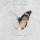 Download Jonathan Roy - Lost