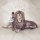 Download Gabriela Gomes - Tudo