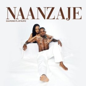 Song  Diamond Platnumz - Naanzaje