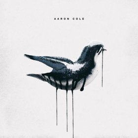 Song  Aaron Cole - my year