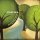 Download Chris Rice - Great Is Thy Faithfulness