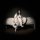 Download Billie Eilish - when the party's over