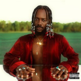 Song  Adekunle Gold - Okay