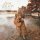 Download Anne Wilson - Something About That Name