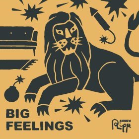 Song  Andrew Ripp - Big Feelings